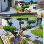 Logo SARL Couleurs paysage